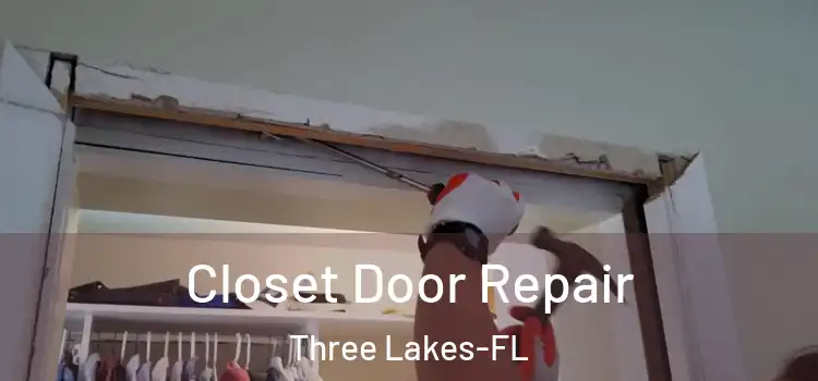  Closet Door Repair Three Lakes-FL