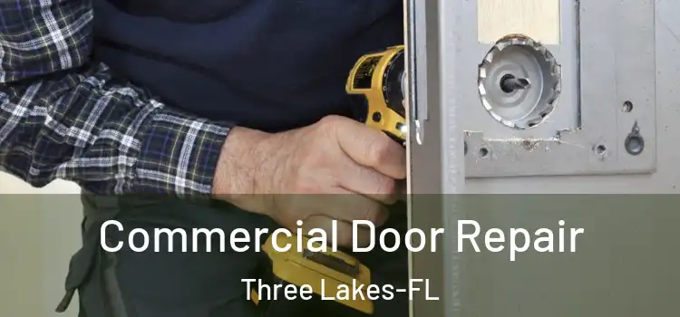  Commercial Door Repair Three Lakes-FL