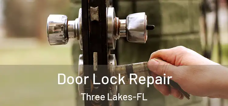 Door Lock Repair Three Lakes-FL