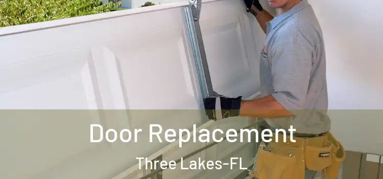  Door Replacement Three Lakes-FL