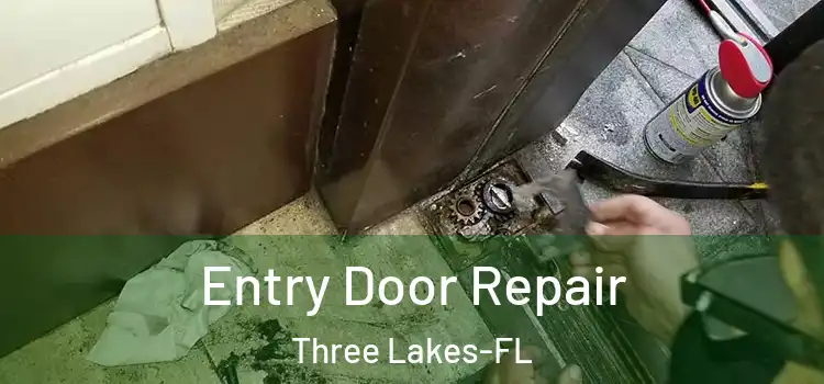  Entry Door Repair Three Lakes-FL
