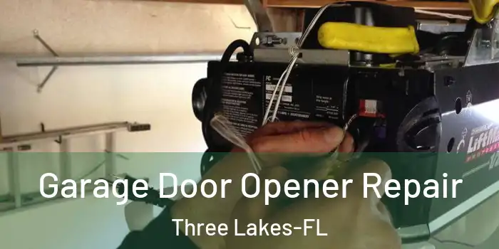  Garage Door Opener Repair Three Lakes-FL