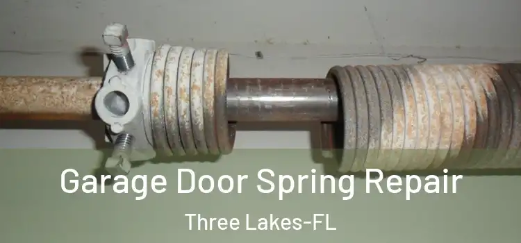  Garage Door Spring Repair Three Lakes-FL