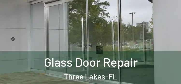  Glass Door Repair Three Lakes-FL
