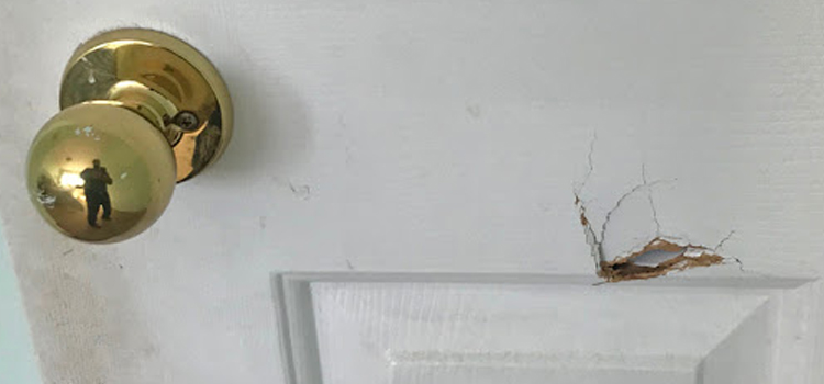 interior door hole repair Three Lakes