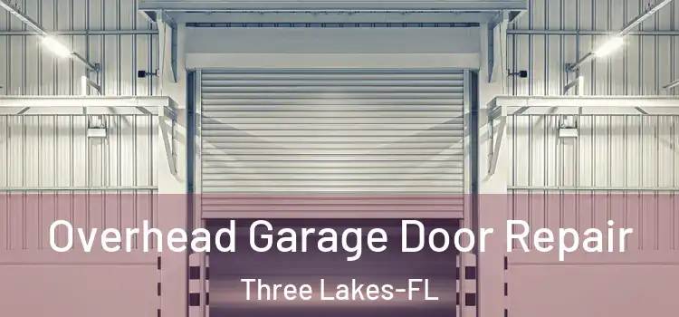  Overhead Garage Door Repair Three Lakes-FL