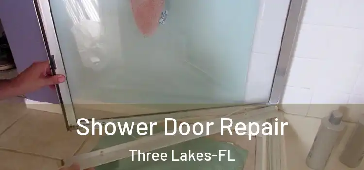  Shower Door Repair Three Lakes-FL